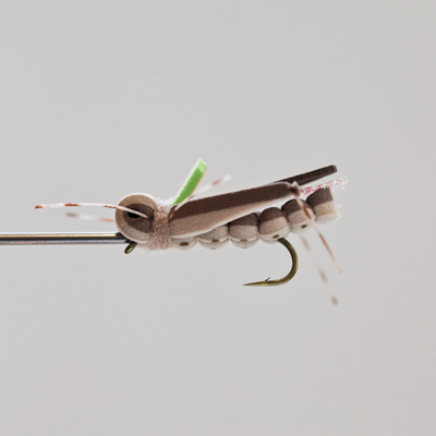 thunder thigh hopper pattern