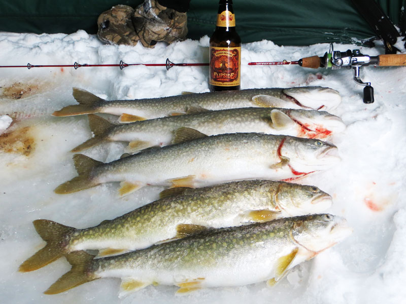Ice Fishing Lake Superior Lake Trout